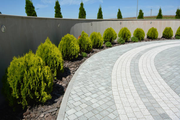 Best Driveway Borders and Edging Pavers in Anoka, MN